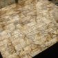 golden-capiz-wall-tiles-shell-wallpapers_2_.jpg