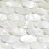 oval-mother-of-pearl-mosaic-tiles_2_.jpg